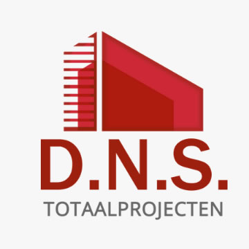 dns_logo